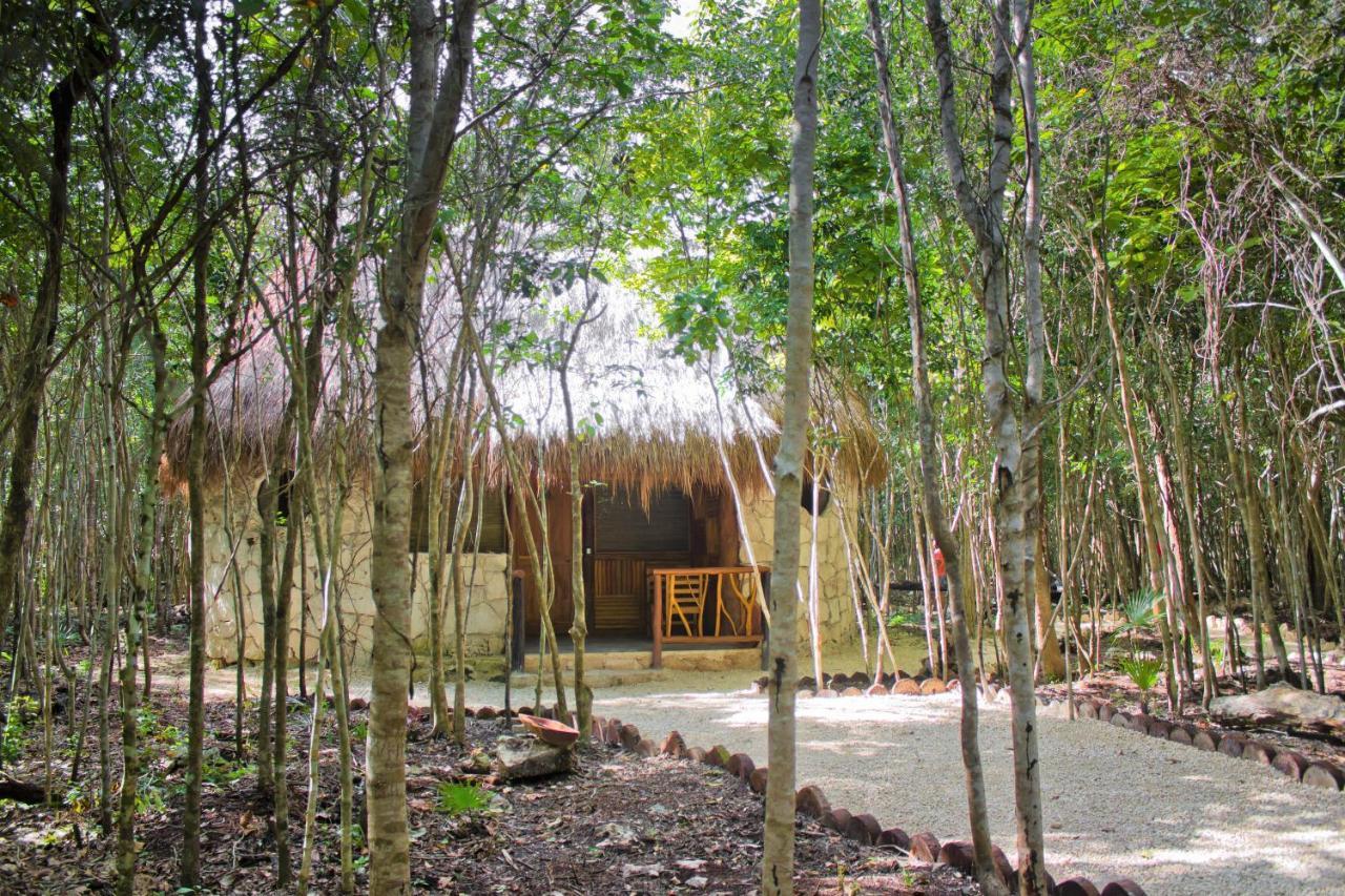 Aldea Maya-Ha Cabanas Con Cenotes Puerto Morelos Extérieur photo